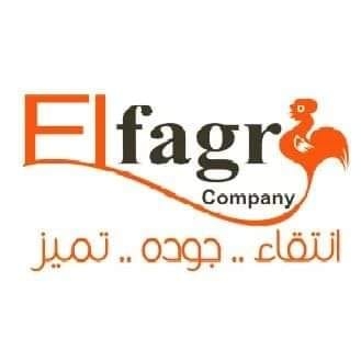  الفجر للاعلاف 